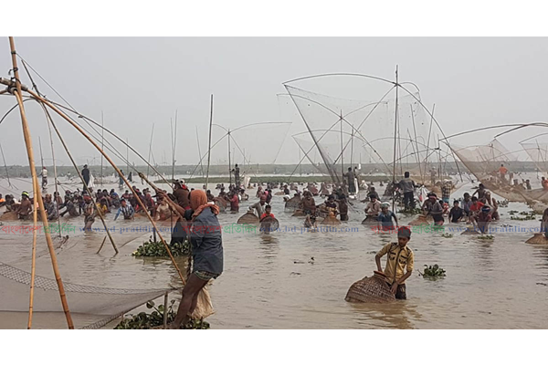 হবিগঞ্জে পলো বাইচ প্রতিযোগিতায় উৎসবের আমেজ