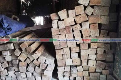রাঙামাটিতে অবৈধভাবে পাচারকালে সেগুন কাঠ জব্দ