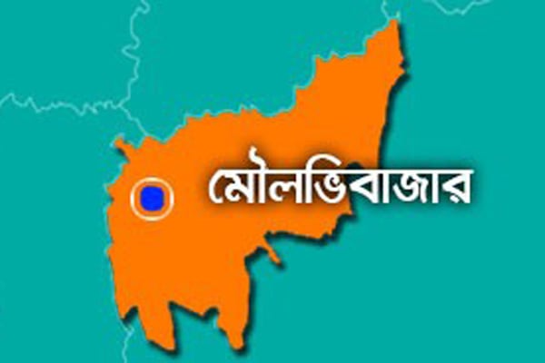 মৌলভীবাজারে পিকআপভ্যানচাপায় অটোরিকশার ২ যাত্রী নিহত