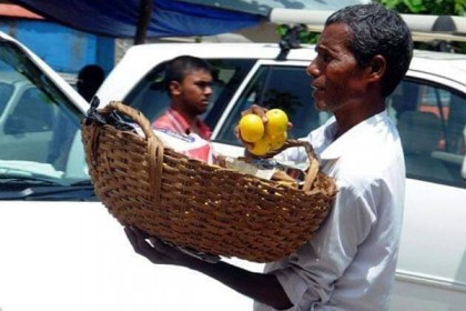 কমলা বিক্রেতার 'পদ্মশ্রী' জয়