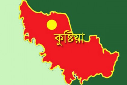 দৌলতপুরে চার ইটভাটা মালিককে দেড় লাখ টাকা জরিমানা