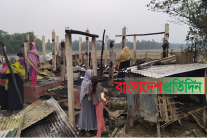 চকরিয়ায় ঘরে আগুন দিয়ে মাকে হত্যা চেষ্টার অভিযোগ