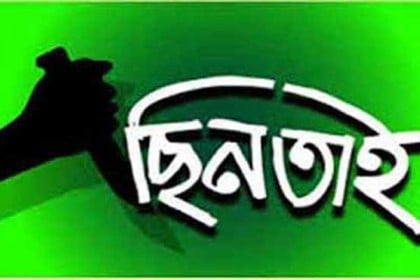 ২৪টি গরুসহ ট্রাক ছিনতাই