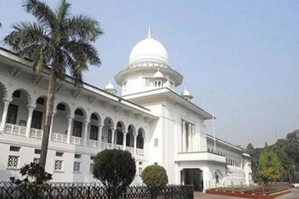 সরকারি গাছ কেটে টাকা আত্মসাৎ, দুদককে তদন্তের নির্দেশ হাইকোর্টের