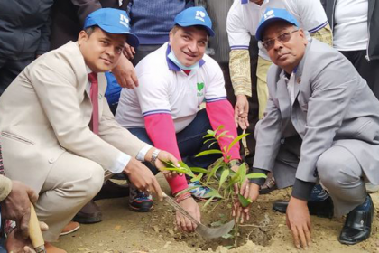 সবুজ রাজশাহী গড়তে ৪০০ গাছ লাগাবে ভারত সরকার