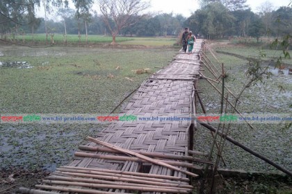 ইছামতি নদী পারাপারে বাঁশের সাঁকোই ভরসা 