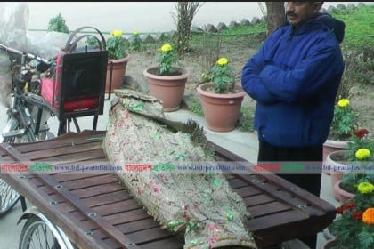 চুয়াডাঙ্গায় স্কুল ছাত্রীকে ধর্ষণের পর হত্যা
