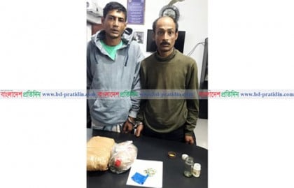 মাগুরায় দুই মাদক ব্যবসায়ী গ্রেফতার