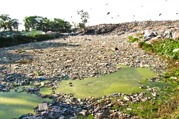 ময়লায় ধ্বংস মৎস্য খামার