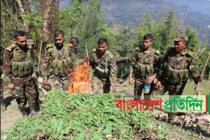 বান্দরবানে ১০ একর পপি ক্ষেত ধ্বংস
