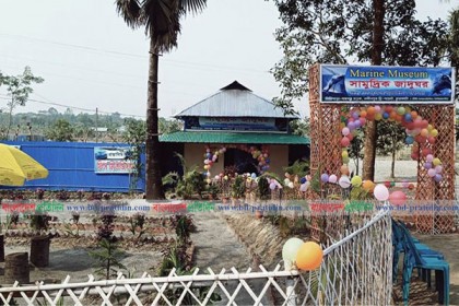 কুয়াকাটায় সামুদ্রিক জাদুঘর