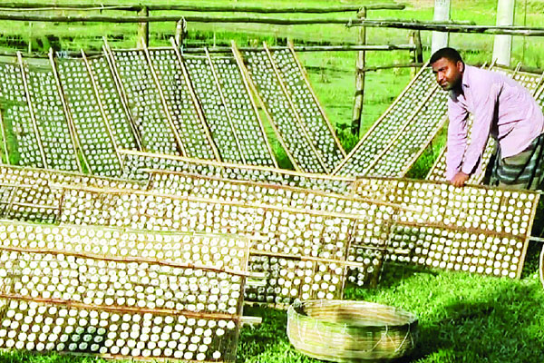 শত বছরের কুমড়াবড়ি