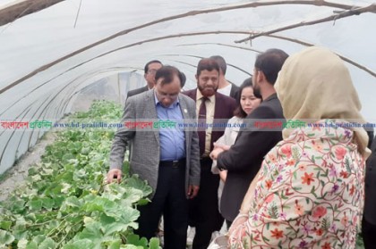 ফুলপুরে পরীক্ষামূলক চায়না তরমুজ চাষ, সফল হলে ঘটবে কৃষি বিপ্লব 