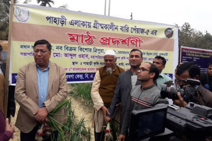 পিয়াজ সংকট সমাধানে ভূমিকা রাখবে নতুন উদ্ভাবিত বারি পিয়াজ-৫