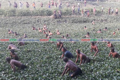 ডাকাতিয়া নদীতে মাছ ধরা উৎসব