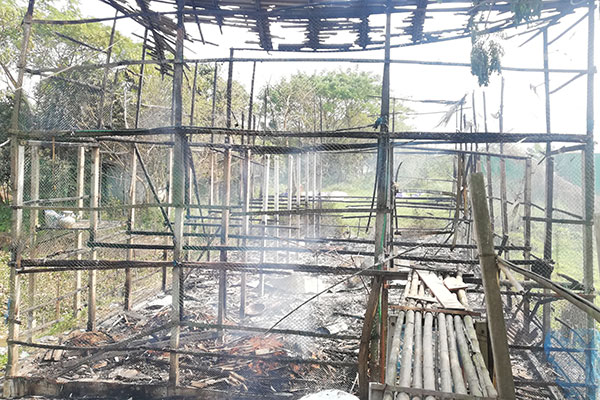 রূপগঞ্জে মুরগীর খামার পুড়ে ছাই