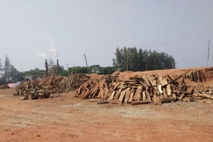 নোয়াখালীতে তিন ইটভাটার মালিককে জরিমানা