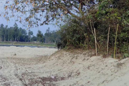 পঞ্চগড়ে বালি উত্তোলনে বিলীন হচ্ছে আমবাগান
