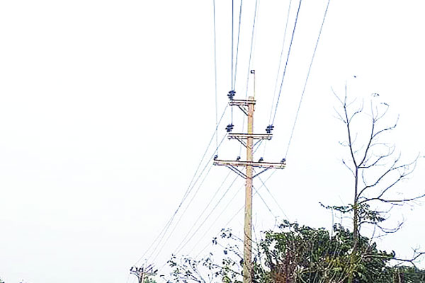 পদ্মা-মেঘনার চরে বিদ্যুতের আলো
