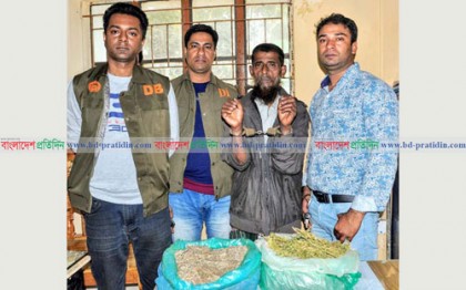 বিশ্বনাথে গাঁজাসহ মাদক ব্যবসায়ী আটক