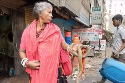 সাপের ভয় দেখিয়ে চাঁদাবাজি