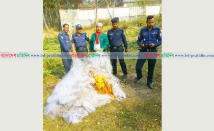 টেকনাফে বিপুল পরিমাণ কারেন্ট জাল পুড়িয়ে ধ্বংস