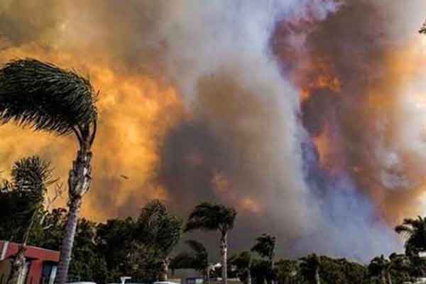 'অস্ট্রেলিয়ার ৭৫ শতাংশ লোক দাবানলে ক্ষতিগ্রস্ত'
