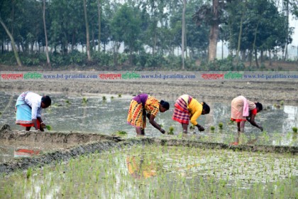 কাজের বেলায় সমান, মজুরিতে বৈষম্যের শিকার নারী