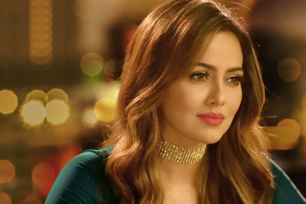 বিচ্ছেদের কষ্ট ভুলতে যা করছেন সানা