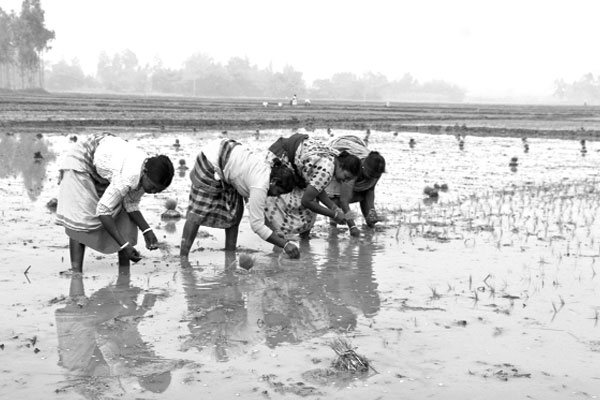 মজুরি বৈষম্যের শিকার  নারী শ্রমিকরা