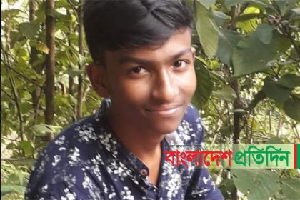 গাছের ডাল কাটতে গিয়ে বিদ্যুৎস্পৃষ্টে কিশোরের মৃত্যু