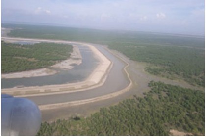 পরিবেশের ভারসাম্য রক্ষায় উপকূলীয় বন বিভাগ