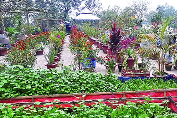 স্কুলের ছাদে বাগান