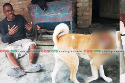কুকুরকে জখম করায় মনিবের আর্তনাদ