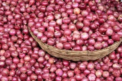 পিয়াজ রফতানিতে নিষেধাজ্ঞা তুলে নিচ্ছে ভারত