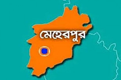 মেহেরপুরে গণিত উৎসব অনুষ্ঠিত