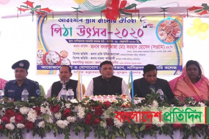 নাসিরনগর সরকারি ডিগ্রী কলেজে পিঠা উৎসব