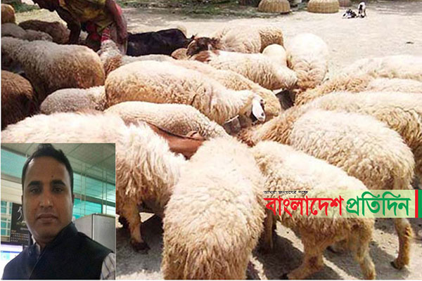 চাকরি ছেড়ে গাড়লের খামার করে স্বাবলম্বী মেহেদী 