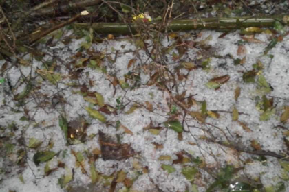 মাদারীপুরে শিলাবৃষ্টিতে ফসলের ক্ষতির আশঙ্কা 