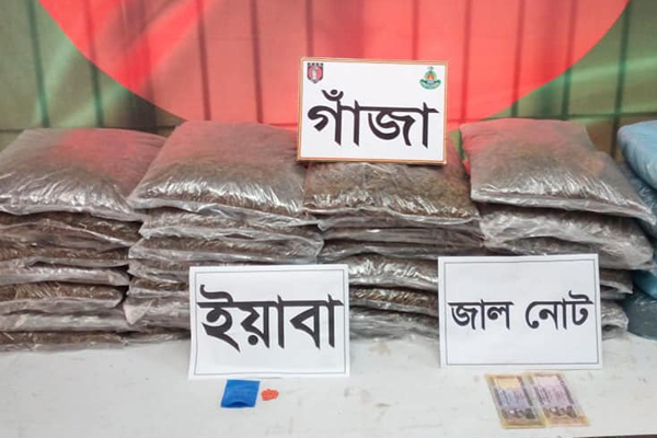 কিশোরগঞ্জে গাঁজাসহ মাদক ব্যবসায়ী গ্রেফতার