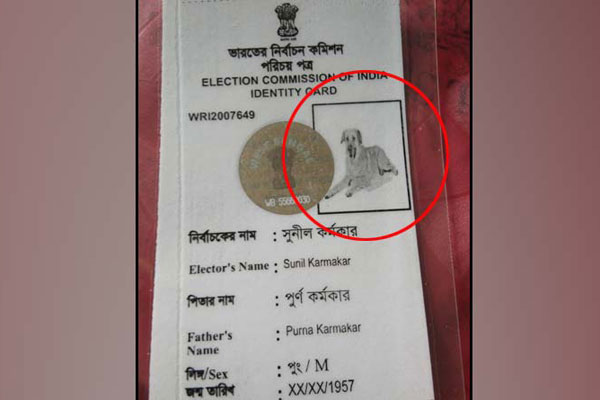 ভোটার কার্ডে মানুষের পরিবর্তে কুকুরের ছবি!