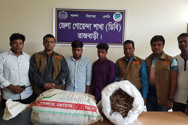 রাজবাড়ীতে গাঁজাসহ দুই যুবক আটক