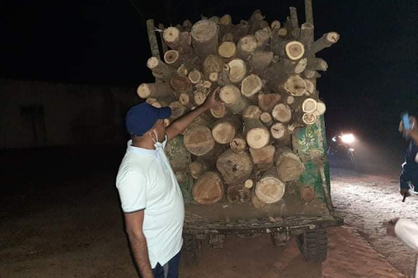 ছদ্মবেশে অভিযান, কাঠ পাচার ঠেকালেন ইউএনও
