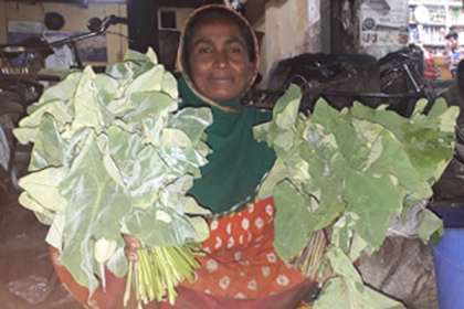 কচু শাকে চলছে জীবন 