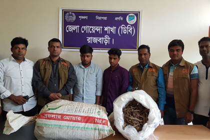 রাজবাড়ীতে গাঁজাসহ দুই যুবক আটক