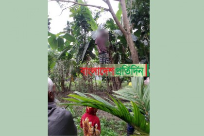 হালুয়াঘাটে গাছ থেকে বৃদ্ধের ঝুলন্ত লাশ উদ্ধার  