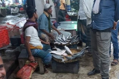 নিষেধাজ্ঞার মধ্যেই চরফ্যাশনে প্রকাশ্যে ইলিশ বিক্রি!