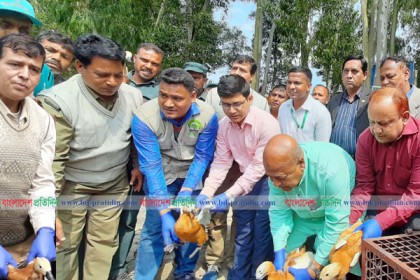 নওগাঁয় অবমুক্ত ২৯টি পাখি