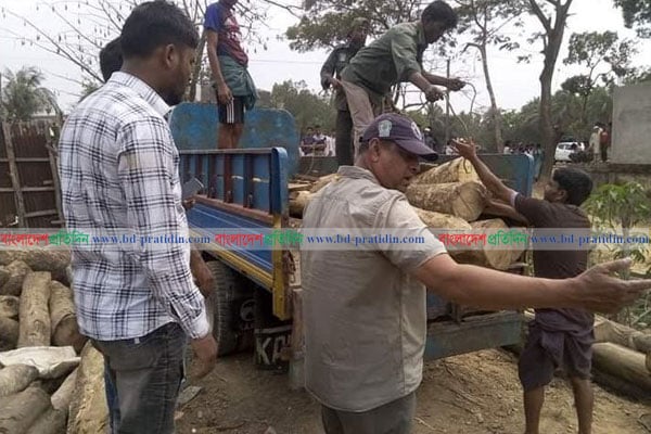 টেকনাফে অবৈধ করাতকল থেকে কাঠ জব্দ