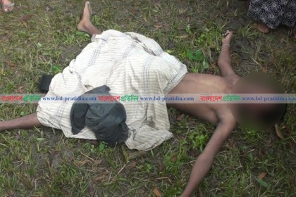 বড়াইগ্রামে আমবাগান থেকে কিশোরের লাশ উদ্ধার
